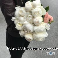 Garden Rose Київ фото