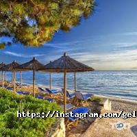 Gelena відгуки фото