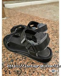 Ficus відгуки фото