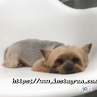 відгуки про Тритон фото