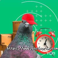 Грузовые перевозки Meest China фото