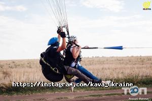 відгуки про Kava фото