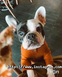 Cipolle Pizza Bar Одеса фото