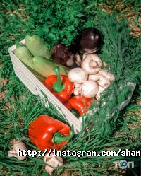 Супермаркети, продуктові магазини Шампуроff фото