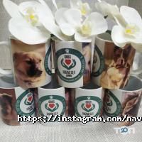 Navoka Group отзывы фото
