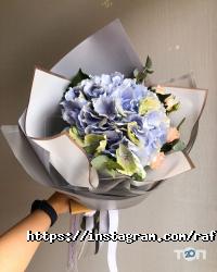 Roses 313 отзывы фото