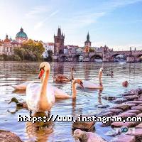 Билеты в лето Луцк фото