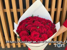 Таншолпан отзывы фото