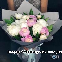 Оформление зала, доставка цветов Jamilya flowers фото