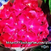 Оформление зала, доставка цветов Gloriosa фото