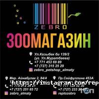 отзывы о ZEBRO фото