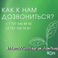Olimpica отзывы фото