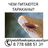 ЦентрГорДез, городская служба дезинсекции фото