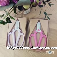 відгуки про Buzina фото