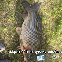 Озеро Гачок, база відпочинку фото