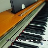 Mezzo Studio отзывы фото