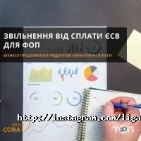 відгуки про Ліга Сова фото