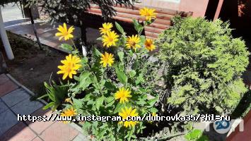 Кафе, бари Дубровка фото