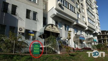 Олесь Олександрович, костоправ та остеопат фото