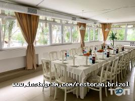 відгуки про Брізоль фото