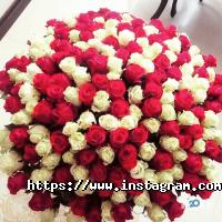 Оформлення залу, доставка квітів Florum Flos фото