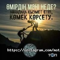 Motivator отзывы фото