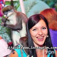 Золоте руно відгуки фото