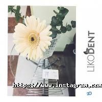 Стоматології Lekadent фото