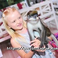 Готелі, хостели Золоте руно фото