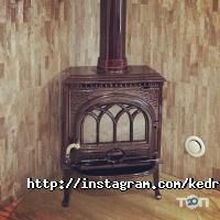 Кедр Кривой Рог фото