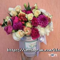 Blossom Box, студія флористики фото