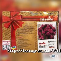 отзывы о SkillART фото