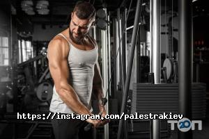 Palestra відгуки фото