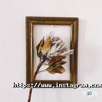 Фото, відео послуги Ohra Studio фото