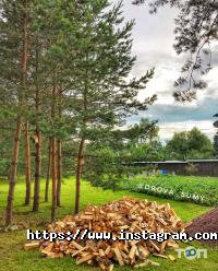 Баня на дровах на Баранівці відгуки фото