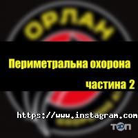 Орлан відгуки фото