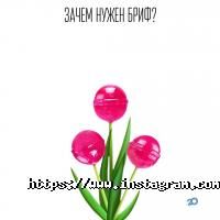 відгуки про Gts agency фото