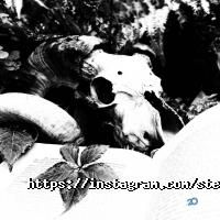 Фотостудія Стіна Харків фото