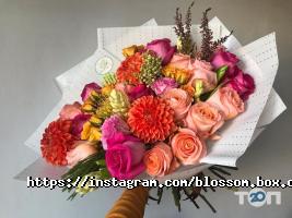 відгуки про Blossom Box фото