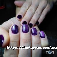 Profi-Master Academy Київ фото