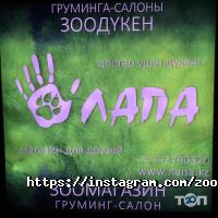 ЛАПА Алматы фото