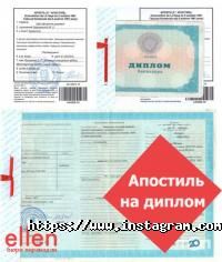 Еллен, бюро перекладів фото