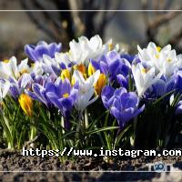 Гарпун, натяжные потолки фото