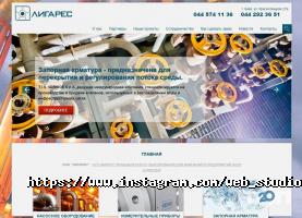 Веб-дизайн і створення сайтів Lynxweb фото