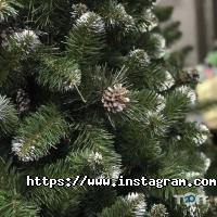 відгуки про Elki-ua фото