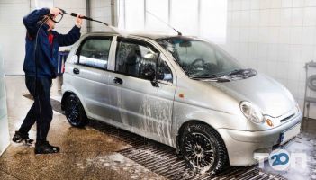 Дельфин отзывы фото