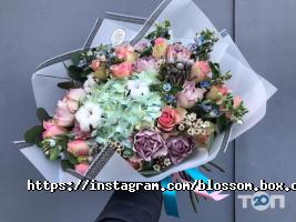 Blossom Box відгуки фото