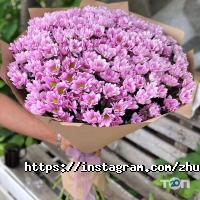 отзывы о Zhuldyz Flowers фото