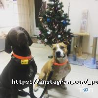 Pets-friends відгуки фото