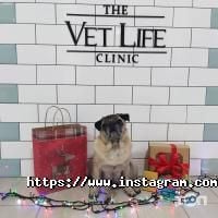 VetLife, ветеринарная клиника фото